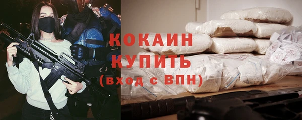 шишки Иннополис