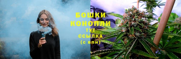 шишки Иннополис