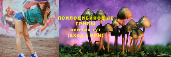 шишки Иннополис