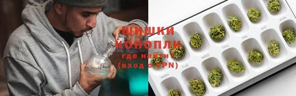 ECSTASY Инсар