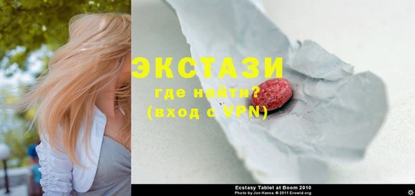 ECSTASY Инсар