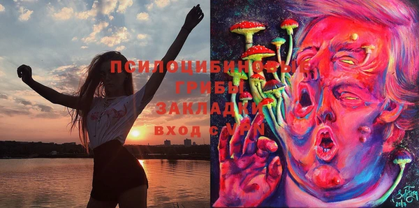 шишки Иннополис