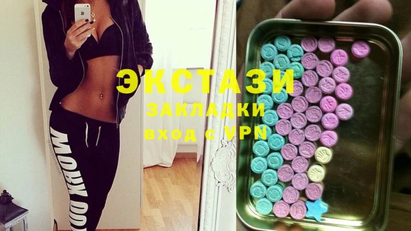 ECSTASY Инсар