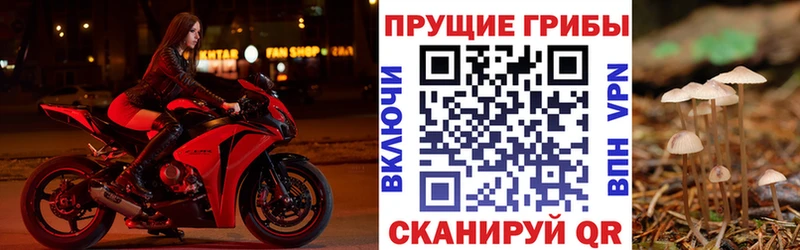 Псилоцибиновые грибы ЛСД Купить где Ковылкино